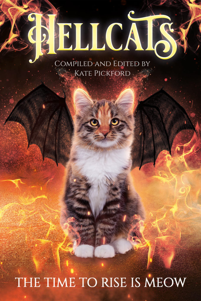 Book Cover: Hellcats